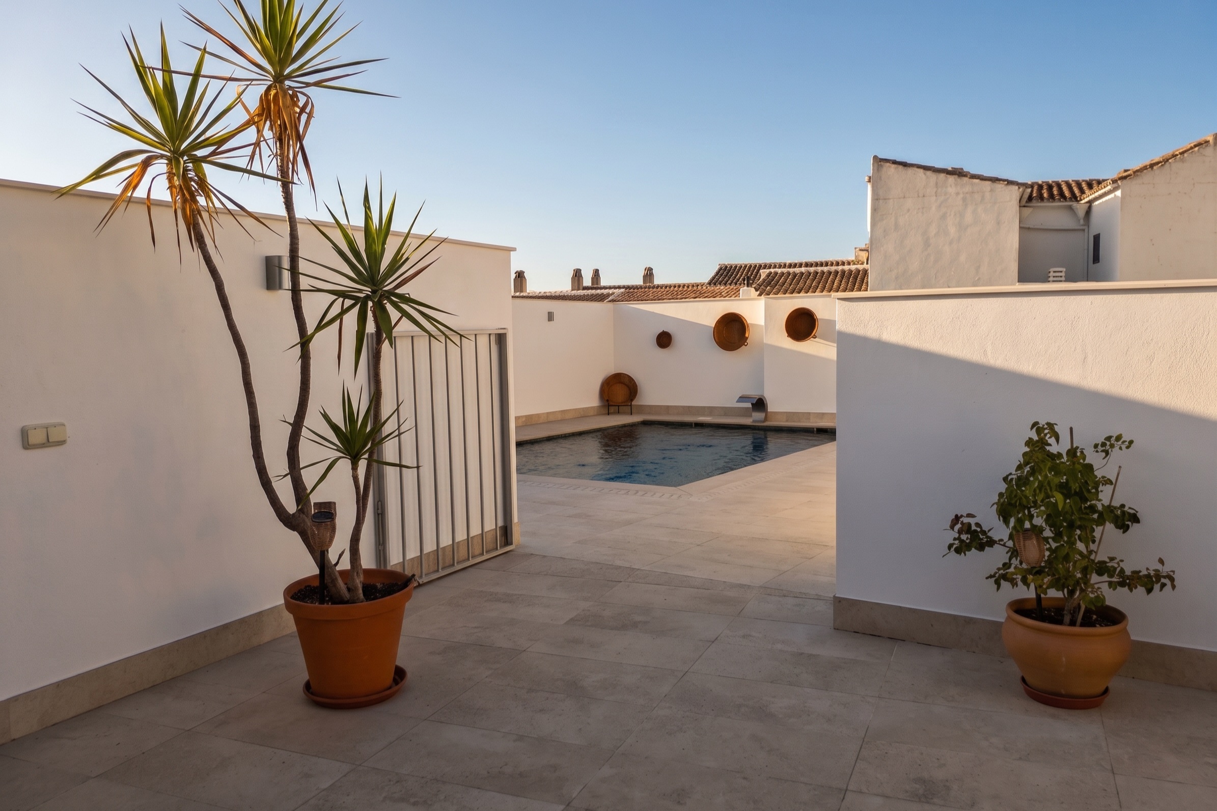 El patio de la casa desde la entrada, con las yucas y la piscina al fondo